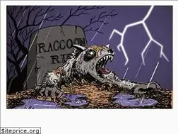 Sites similar to raccoon.com.br