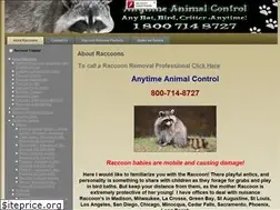 Sites similar to raccoonremovals.com