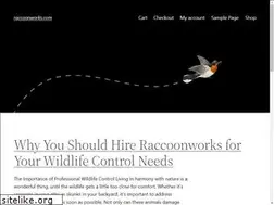 Sites similar to raccoonworks.com