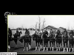 Sites similar to racehorseherbal.net