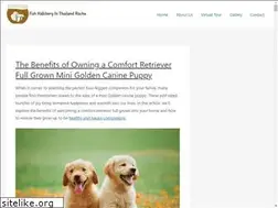 Sites similar to rachaplathong.com