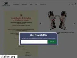Sites similar to racinghalloffamecollection.com
