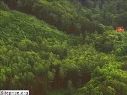 Sites similar to raciudoli.cz