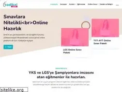 Sites similar to radikaluzem.com