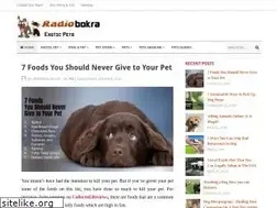 Sites similar to radiobokra.com