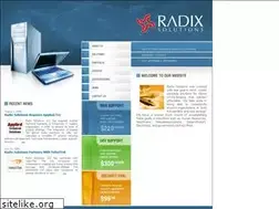 Sites similar to radixsolutions.com