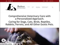 Sites similar to radnorvet.com