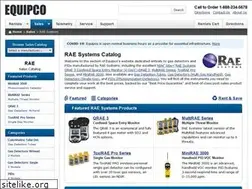 Sites similar to rae-systems.com