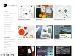 Sites similar to raemaster.com