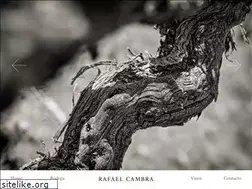 Sites similar to rafaelcambra.es