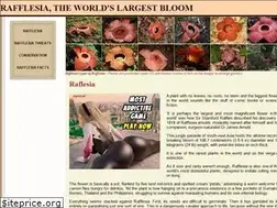 Sites similar to rafflesiaflower.com