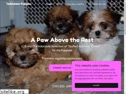Sites similar to ragdollpuppies.com