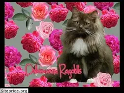 Sites similar to ragdollstexas.com