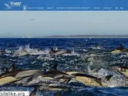 Sites similar to raggycharters.co.za