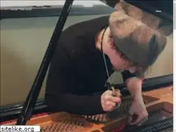 Sites similar to ragtimepianoservice.com