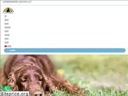 Sites similar to rainbowbridgehk.com