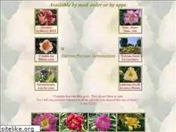 Sites similar to rainbowhilldaylilyfarm.com