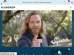 Sites similar to raindropmarketing.com
