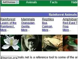 Sites similar to rainforestanimals.net