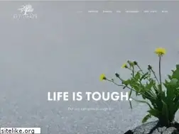 Sites similar to raiseyourresilience.com