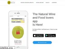 Sites similar to raisin.digital