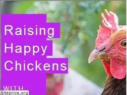 Sites similar to raising-happy-chickens.com