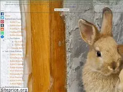 Sites similar to raising-rabbits.com