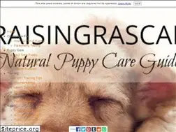 Sites similar to raisingrascal.com