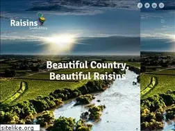 Sites similar to raisinsa.co.za