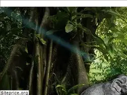 Sites similar to rajbylin.cz