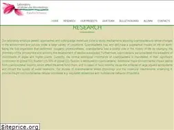 Sites similar to rakefetlab.com