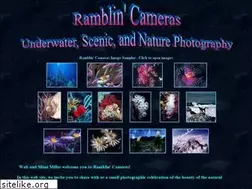 Sites similar to ramblincameras.com