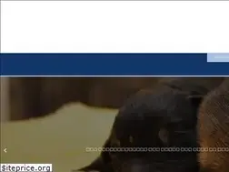 Sites similar to randhurstanimalhospital.com