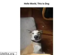 Sites similar to random.dog