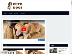Sites similar to randommel.com