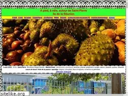 Sites similar to randoreunion.fr