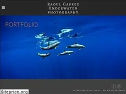 Sites similar to raoulcaprez.com