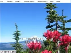 Sites similar to rapideyetechnology.com