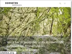 Sites similar to rappenloch.at