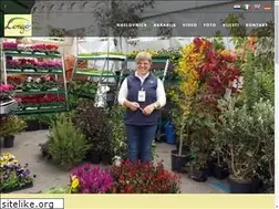 Sites similar to rasadnik-longo.com