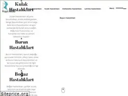 Sites similar to rasitmidilli.com