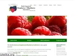 Sites similar to raspberryblackberry.com