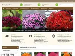 Sites similar to rassadacity.ru