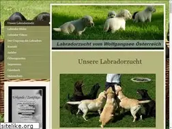 Sites similar to rassehundezucht.com