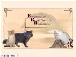 Sites similar to rassekatzen-bernsbach.de