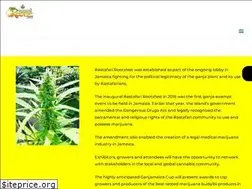 Sites similar to rastafarirootzfest.com