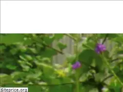 Sites similar to rasurjapan.com