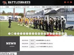 Sites similar to rattlersweb.net