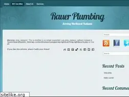 Sites similar to rauerplumbing.com