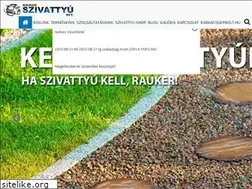 Sites similar to raukerszivattyu.hu